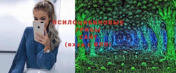 тгк Горняк
