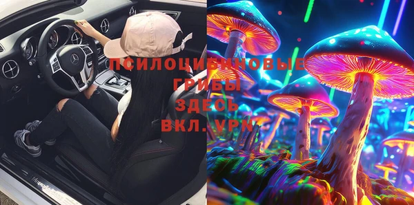твердый Горнозаводск