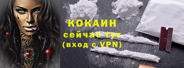 тгк Горняк