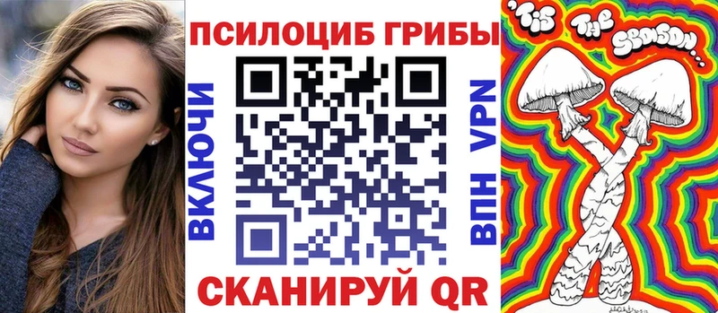 ссылка на мегу маркетплейс  Чита  Псилоцибиновые грибы Magic Shrooms  где купить наркоту 